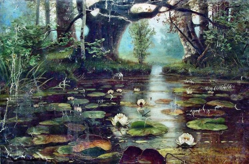 pond with white lilies